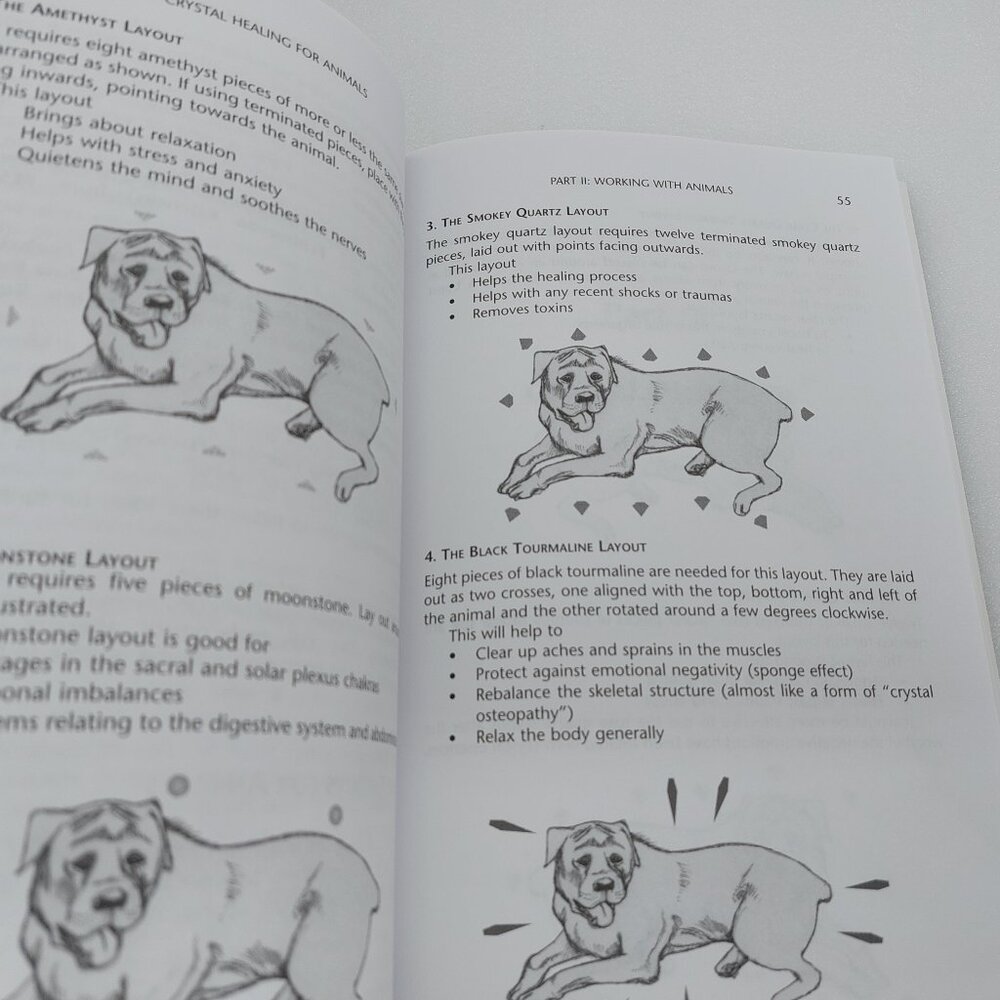 2002 Book Crystal Healing For Animals by Martin J. Scott & Gael Mariani - Picture 6 of 13